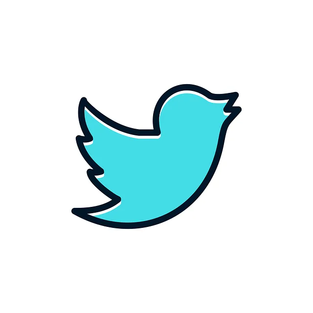 twitter-g7dda62a05_640